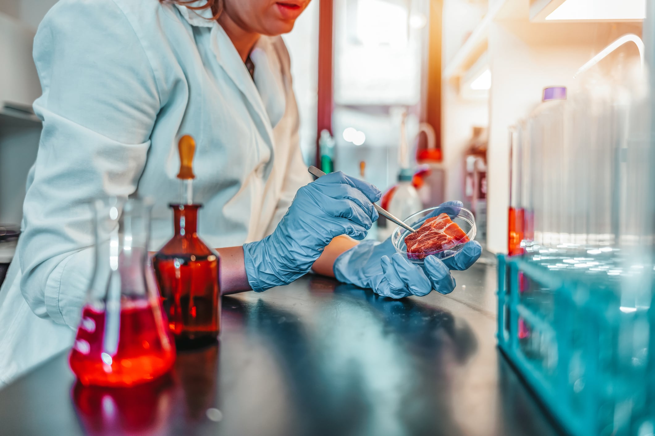 €12.5m boost to Dutch cellular agri sector with two new scale-up sites