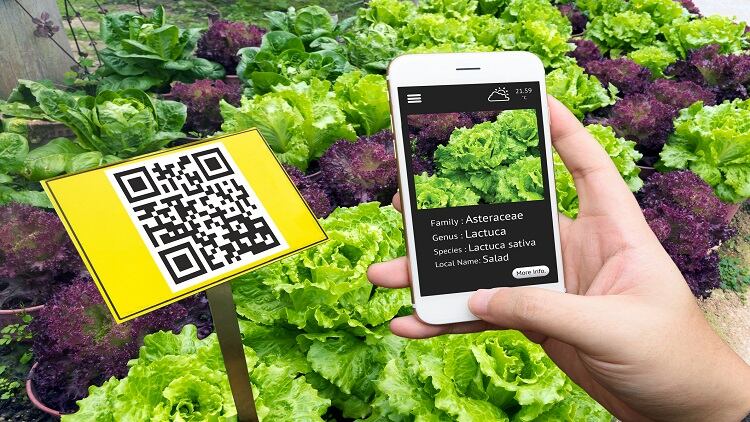 Country of origin, brand and tamper-proof seals…China consumers' most trusted measures of safe foods