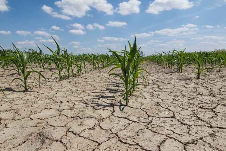 El-Nin-o-2018-19-Central-America-identified-as-high-risk-region-by-FAO.jpg