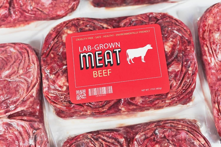 Researchers develop food waste-based scaffolds that could make cell-based meat cheaper