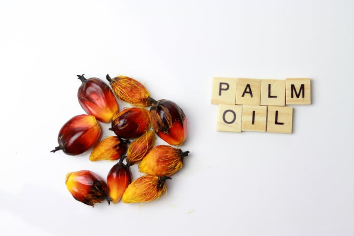 palm-oil-kernels-word-Credits-taffpix.jpg