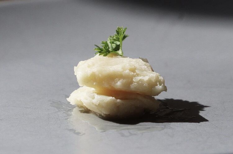 Beef-like fat prototype produced via precision fermentation: ‘It’s a ground-breaking step towards making plant-based meat tastier’