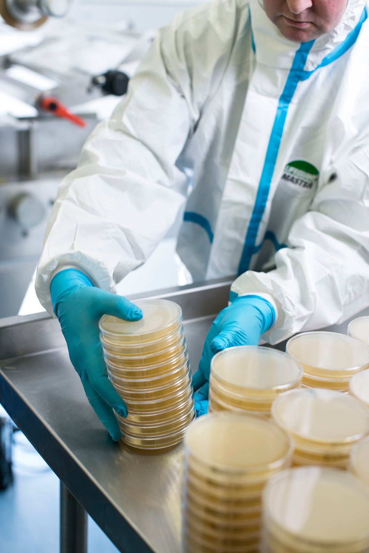Lab-M.jpg