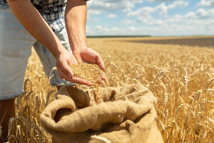 Regenerative agriculture: How manufacturers and farmers are working together