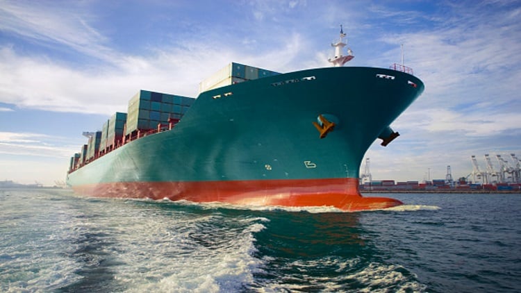Livestock transport debate gains traction