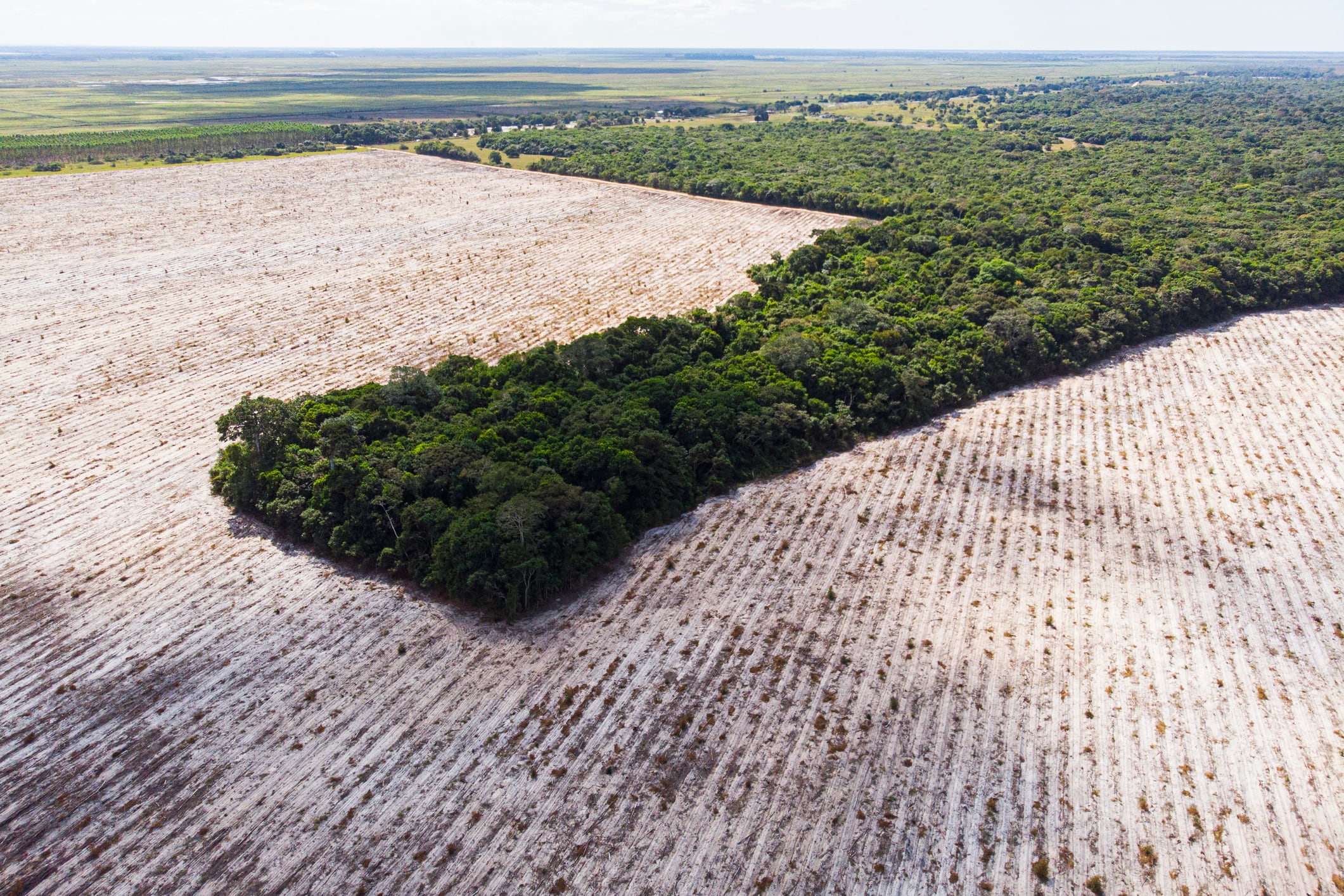 Drone view of deforestation in Brazil