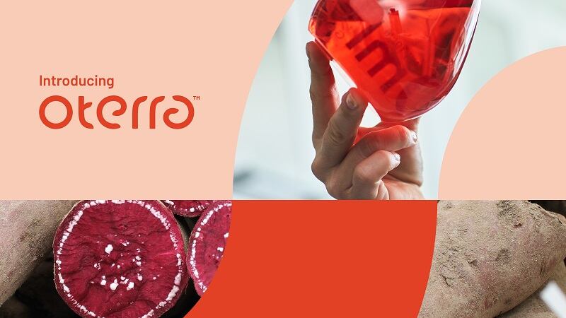 Introducing-Oterra_1600x900_Hansensweetpotato.jpg
