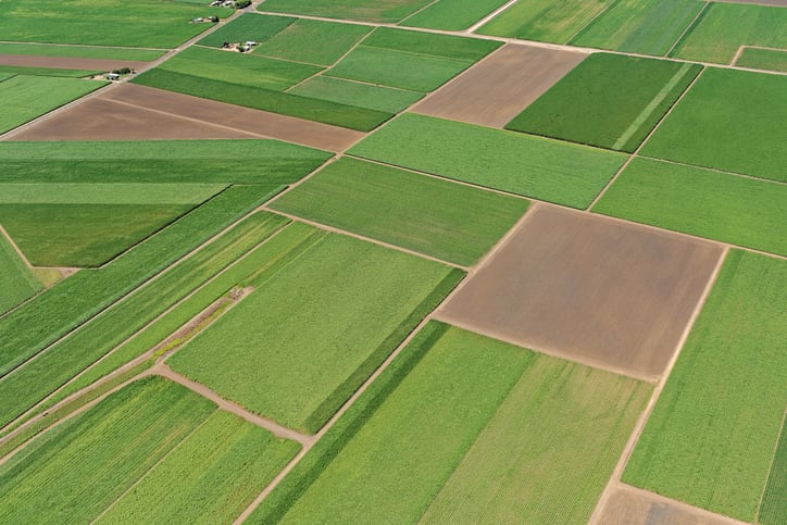 sugarcane-getty-aerometrex.jpg