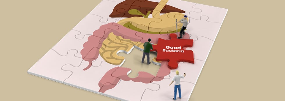 Trust-your-gut-What-s-next-for-the-food-industry-as-told-by-consumers-gut-health.jpg