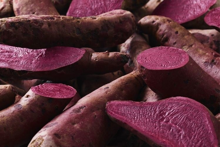 ‘A new and exciting chapter’: Chr. Hansen sells Natural Colors for €800m