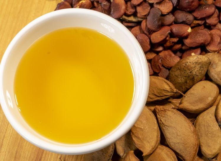Ponova-oil-from-pongamia-trees-to-hit-market-by-mid-2023-as-Terviva-teams-up-with-Ciranda.jpg