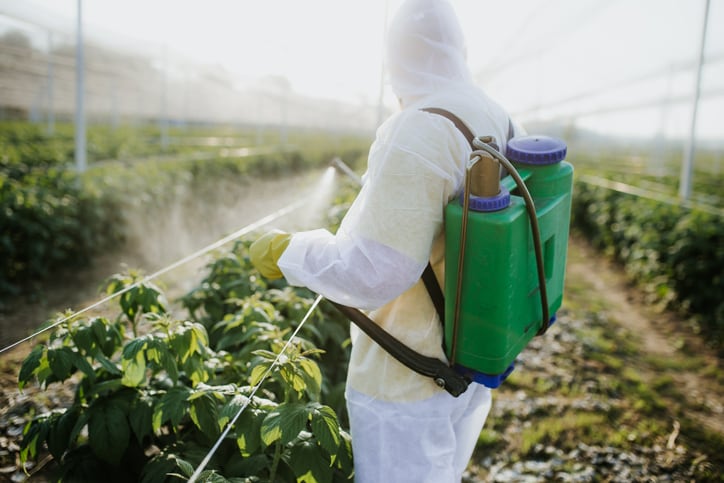 Glyphosate debate deepens as new analysis concludes herbicide ‘is not carcinogenic’