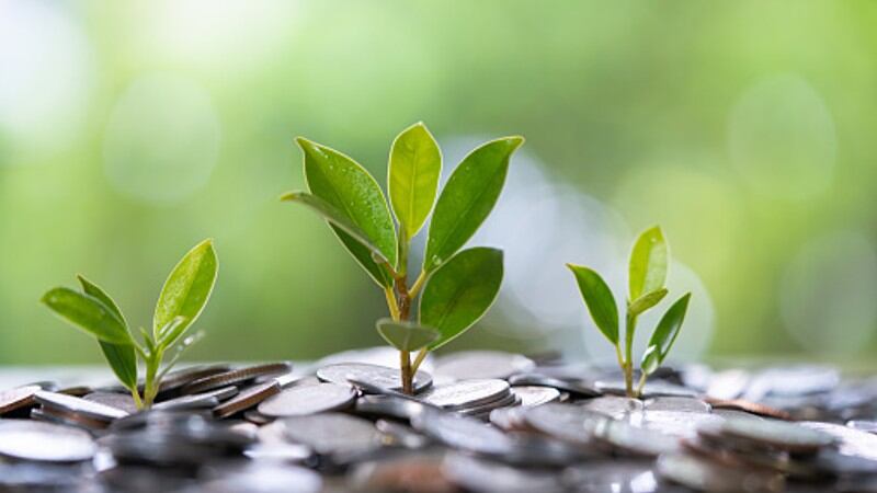 Green is gold: Mondelez on why sustainability leads to economic profitability for food industry