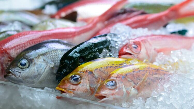 Satellites-for-sustainable-fishing-Indonesian-fishing-sector-to-benefit-from-international-project.jpg