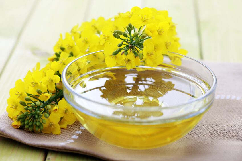 canola-oil-iStock.com-matka_Wariatka.jpg