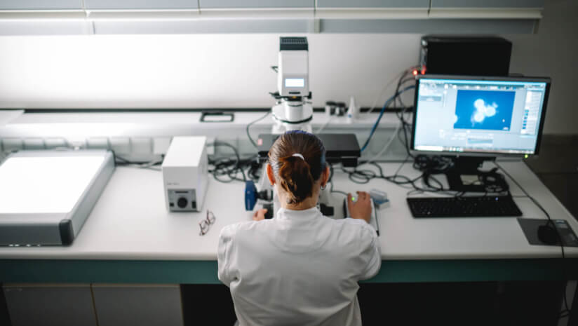 Five ways AI is transforming the confectionery sector