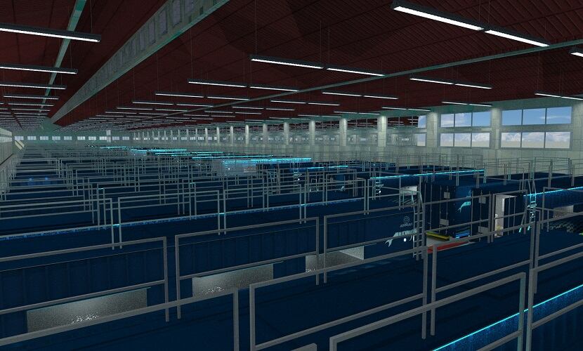 Urban-shrimp-farming-startup-Atarraya-acts-locally-thinks-globally-about-food-system.jpg