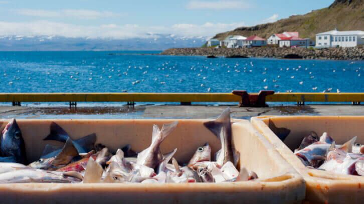 North-Coast-Seafoods-charts-course-for-sustainable-seafood-with-Naked-product-line.jpg