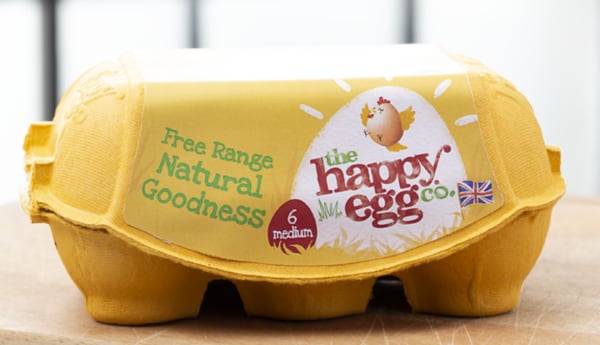 Happy Egg maker Noble Foods recognised for leadership in chicken welfare