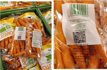 carrots1.png