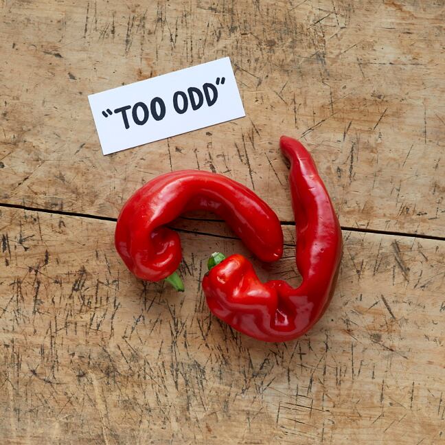 Oddbox-2.jpg