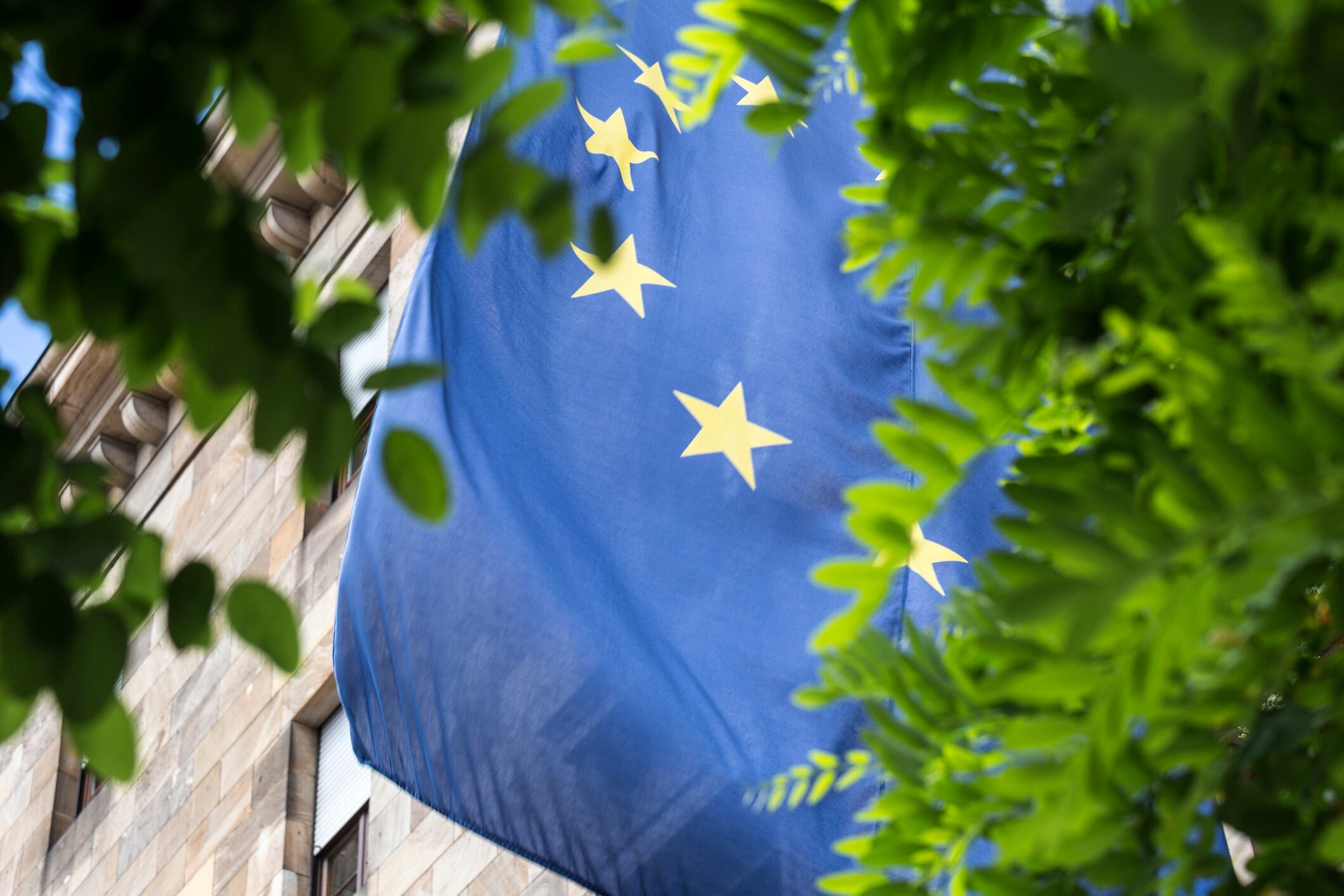 european flag and a tree