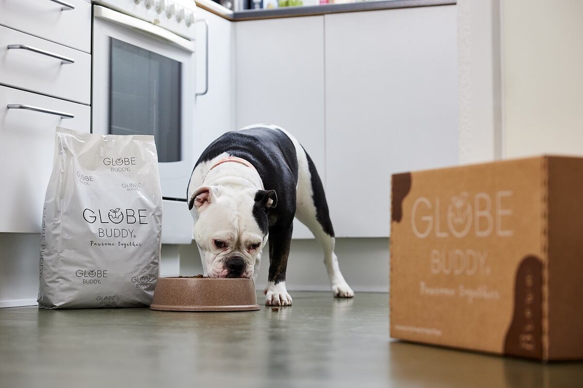 Danish dog food startup unveils super-premium insect-based brand