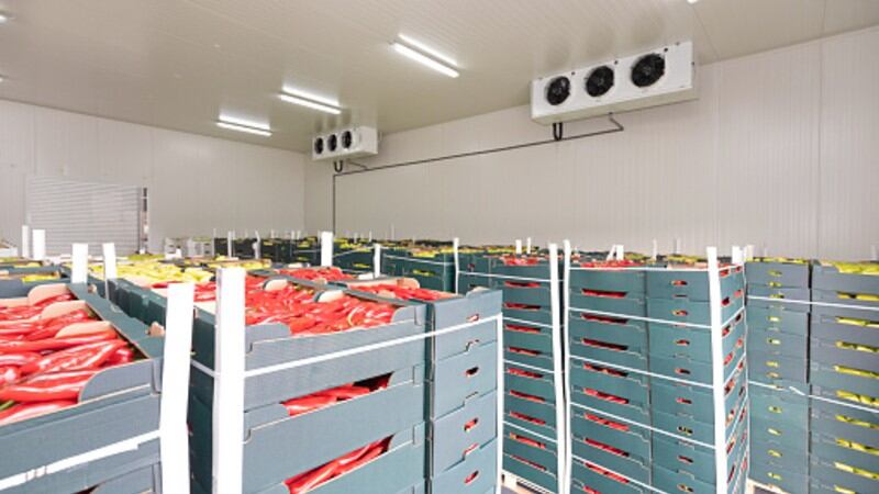 Play it cool: Indian industry lauds new cold chain projects to reduce food waste and boost exports