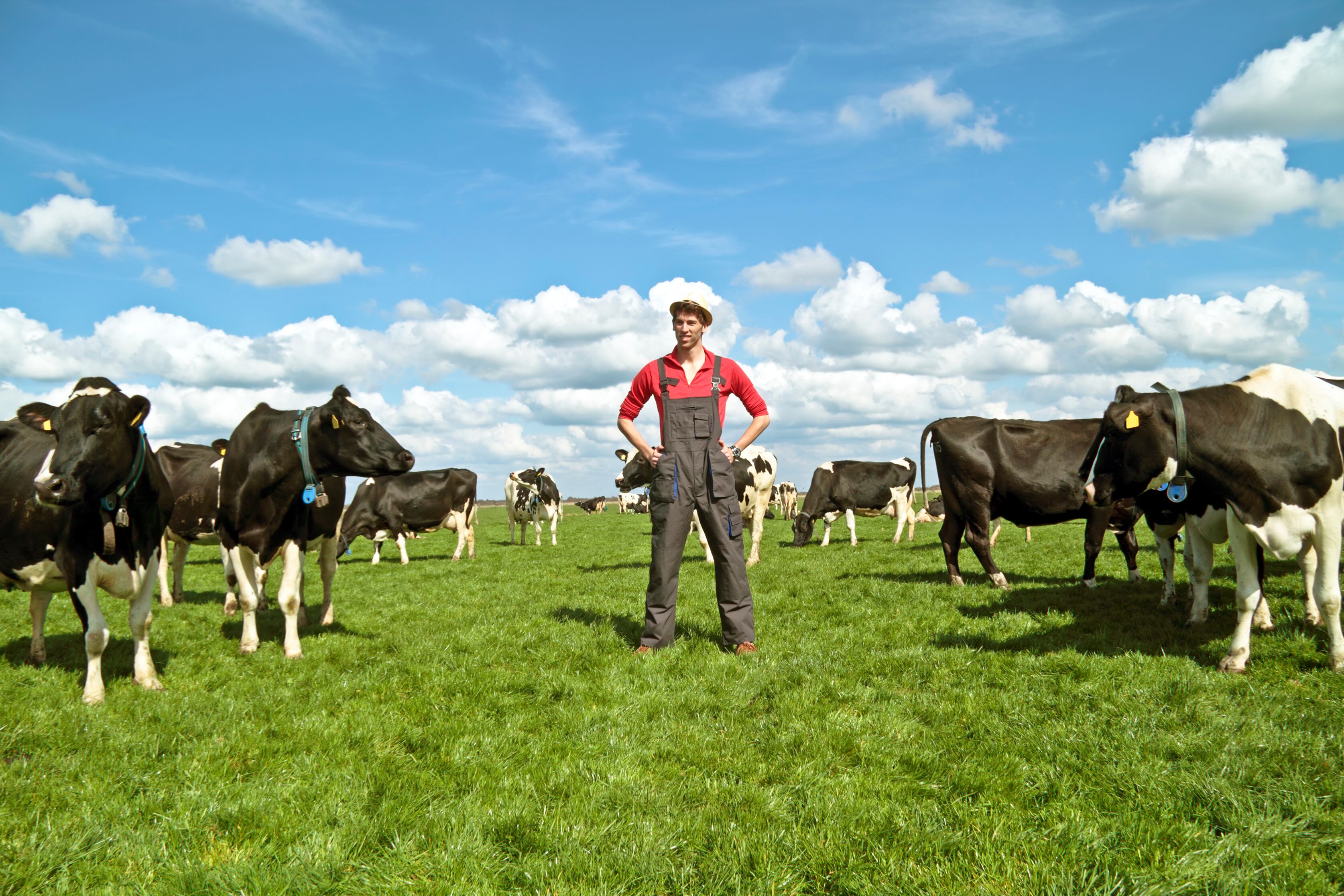 Farmer