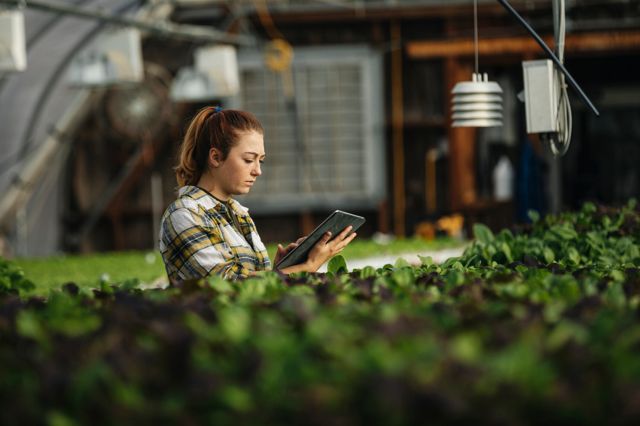 Where should the food and drink industry hedge its bets in 2025?