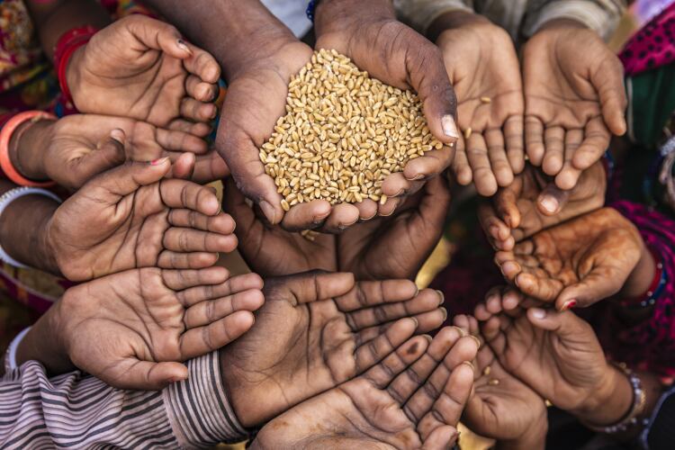 GettyImages-Hadynyah-hunger-grains.png