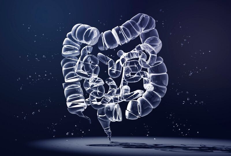Searching for synbiotics: ADM, Brightseed partner on next-gen of gut health