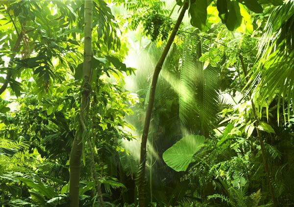 Mars mobilising suppliers for climate action: ‘If sustainability is the what, procurement is the how’