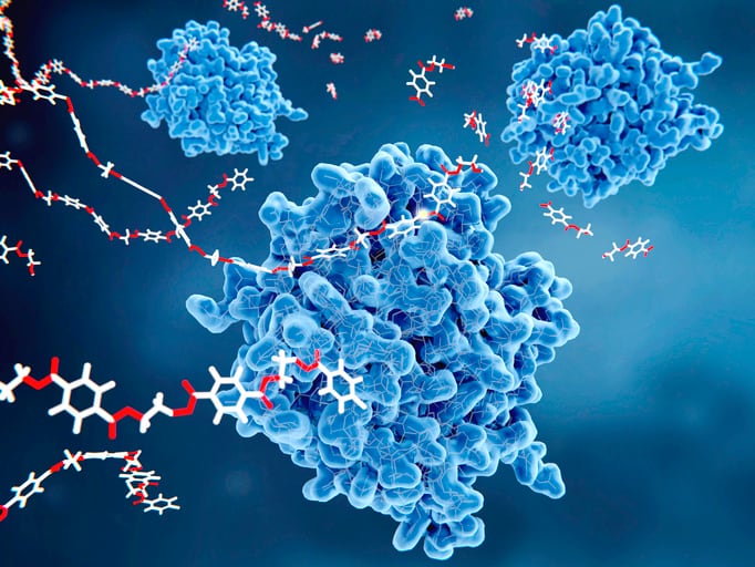 Chilean biotech start-up enzymatically engineers healthier foods