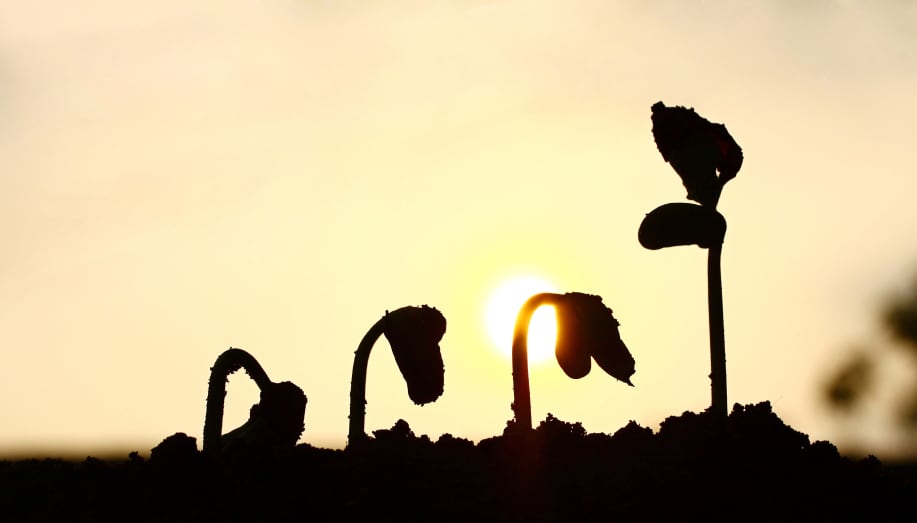 PepsiCo leaning in on sustainability goals: ‘Companies like us no longer have a choice’