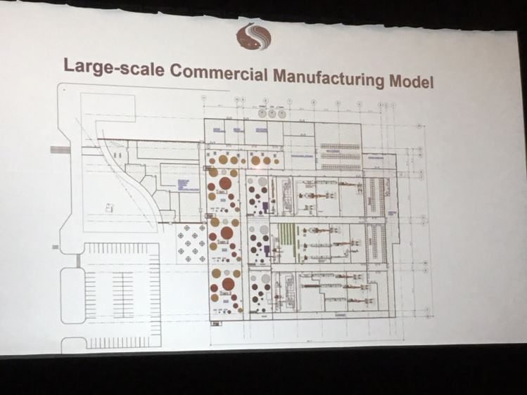 From-edible-scaffolding-to-bio-printing-What-would-an-industrial-scale-cell-based-meat-plant-look-like.jpg