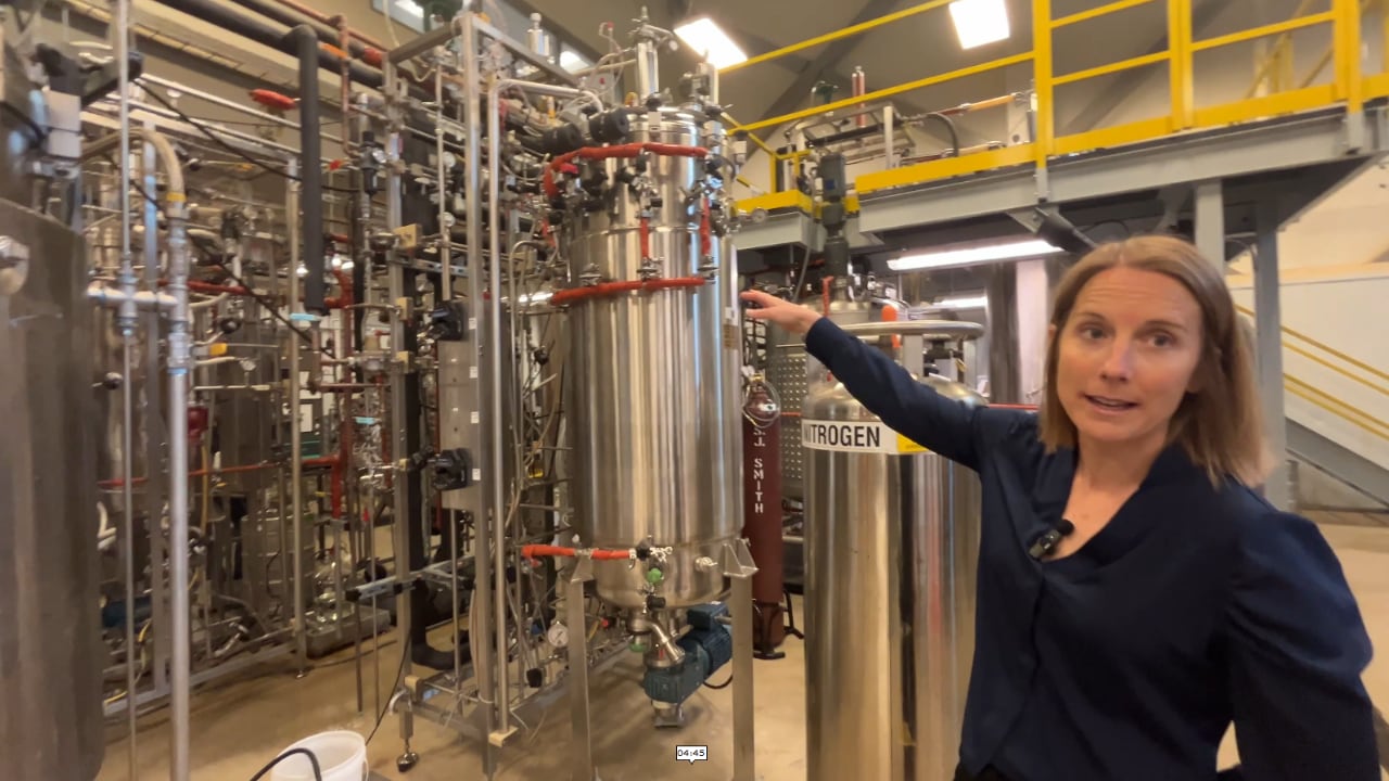 Precision fermentation scale-up: Inside a pilot plant for next-gen food ingredients