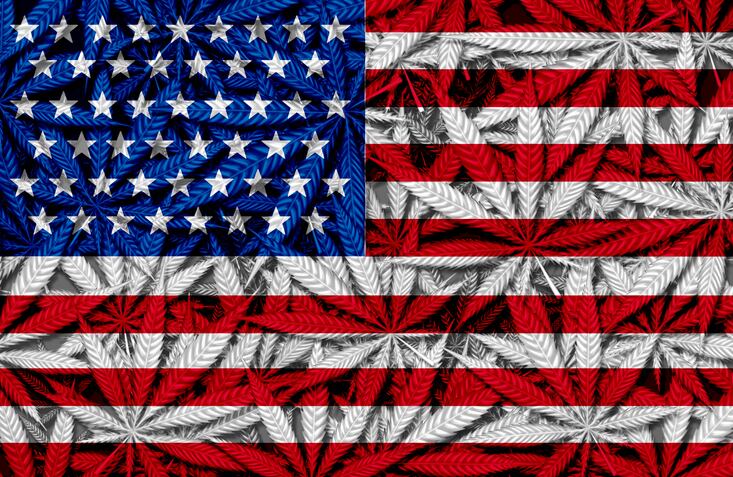 USDA Final Hemp Rule draws mixed reactions from industry stakeholders