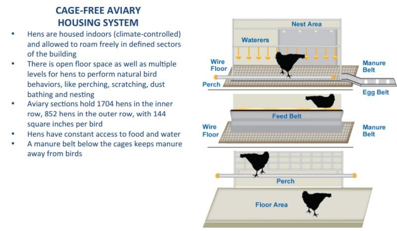 cage-free-eggs-system.jpg