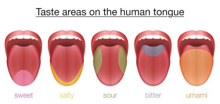 Tastebuds-Getty.jpg