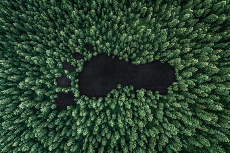 Voluntary carbon offsetting schemes eye further boost at COP27