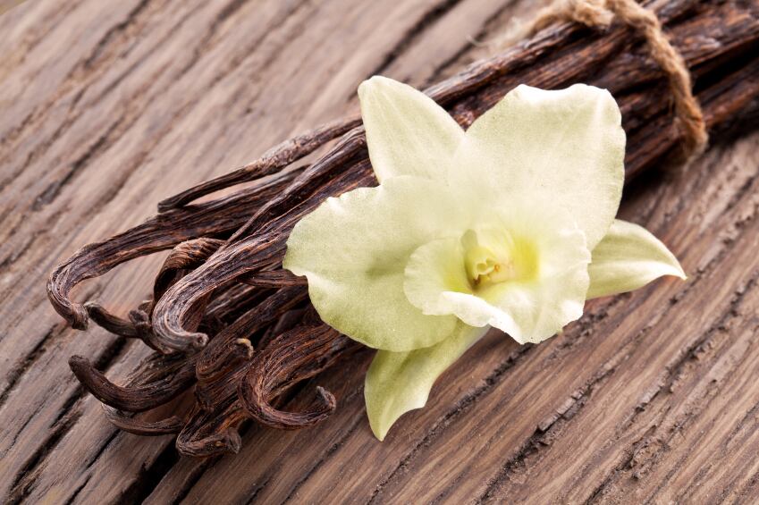 ‘Sustainable vanilla is a hot topic’: Bell innovation meets vanilla challenge