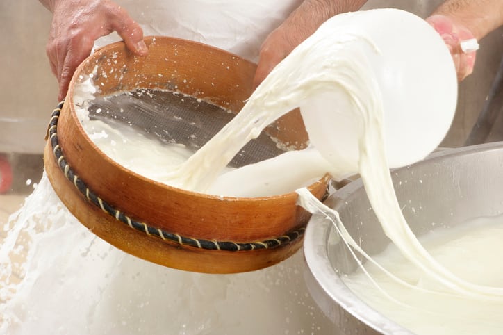 Mozzarella-under-the-microscope-Scientists-pinpoint-the-microbes-essential-to-making-the-unique-Italian-cheese.jpg
