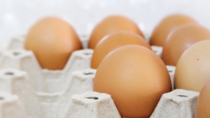 Innovations in plant proteins see 'egg replacers' addressing evolving diets and environmental concerns 