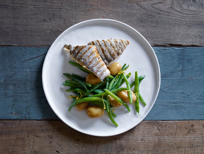 Using algae to make cell-based seabass fillets: ‘We anticipate that cultured fish can have increased health benefits’
