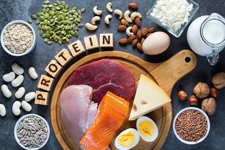 Protein-Packed Plates: Fuel Your Life One Bite at a Time