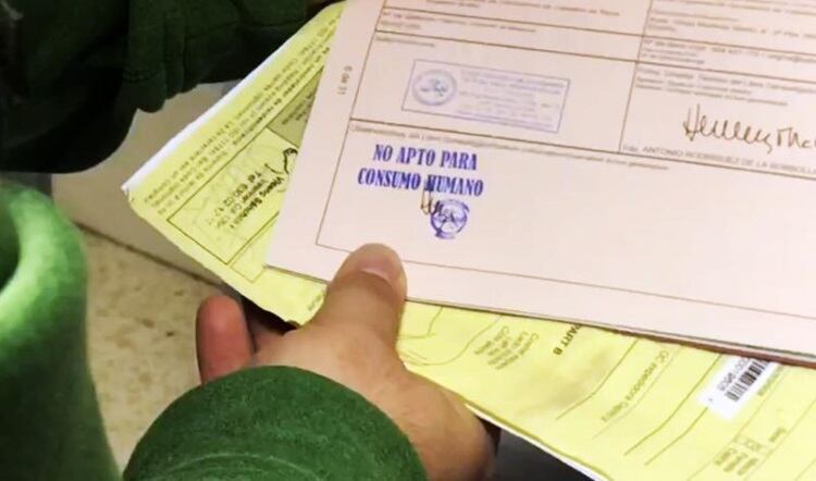 Europol and Spanish Civil Guard arrest 15 over illegal horse meat activity