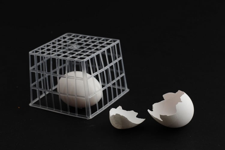Bakkavor publishes updated Environmentally Sustainable Sourcing policy outlining cage-free egg commitment