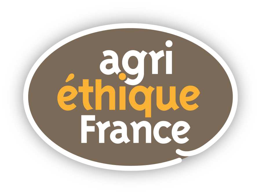 Logo-AE-France.png