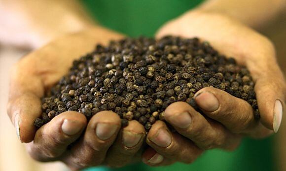 Olam-spices.jpg